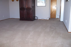 Clean Carpets in Pleasanton House